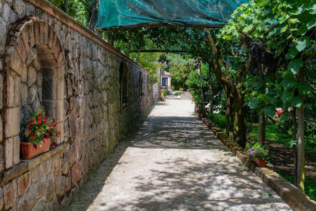 Il Casale Sorrento Hotel ภายนอก รูปภาพ